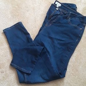 D & Co. 18w Skinny Jeans BNWOT